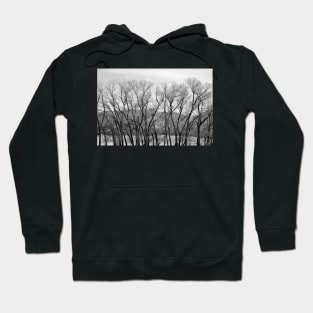 Timbered Blockade Hoodie